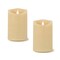 Melrose Set of 2 LED Lighted Flameless Candles with Remote 5"
